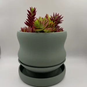 Blob Succulent Pots