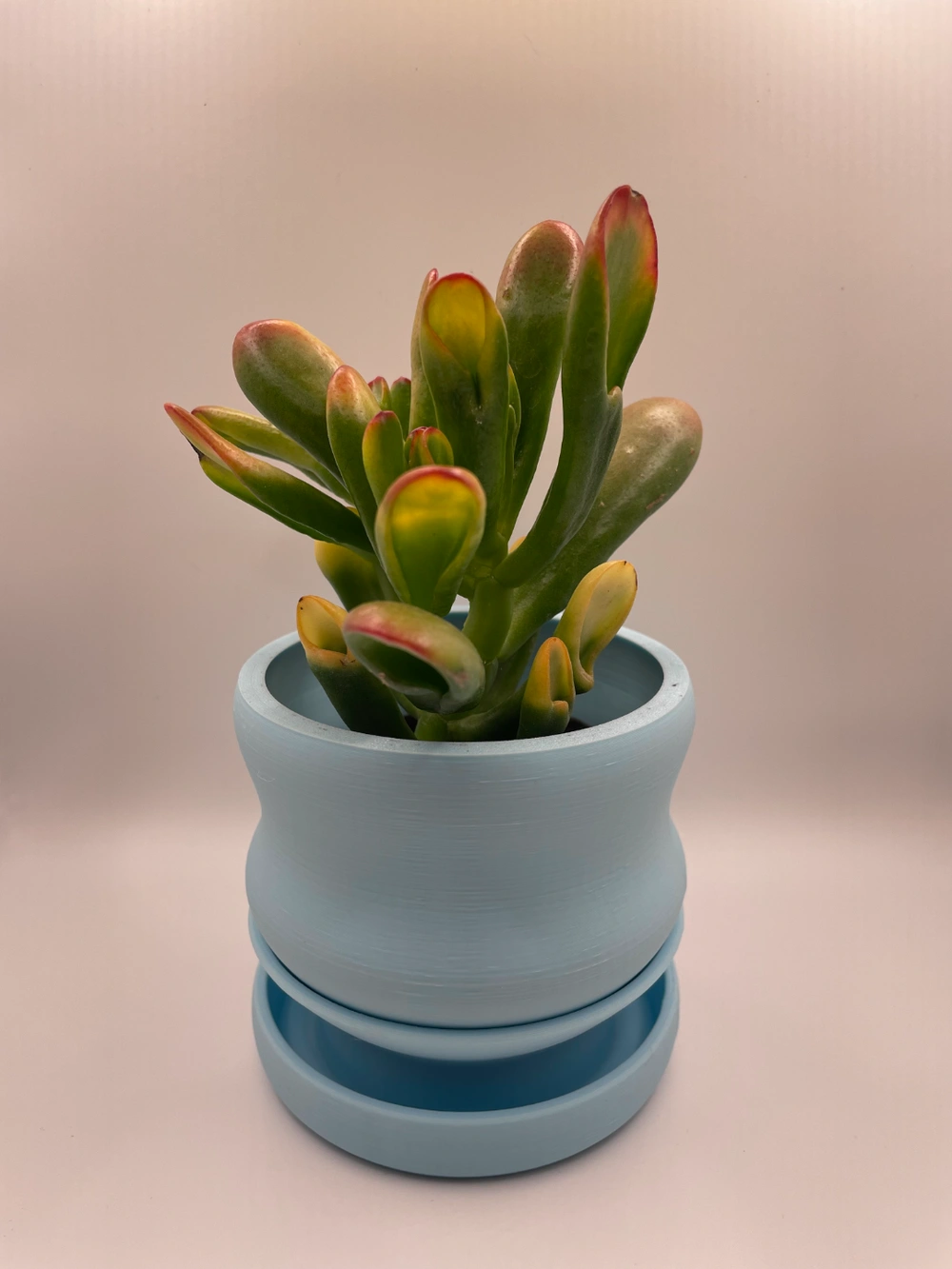 Blob Succulent Pots - Imagen 2