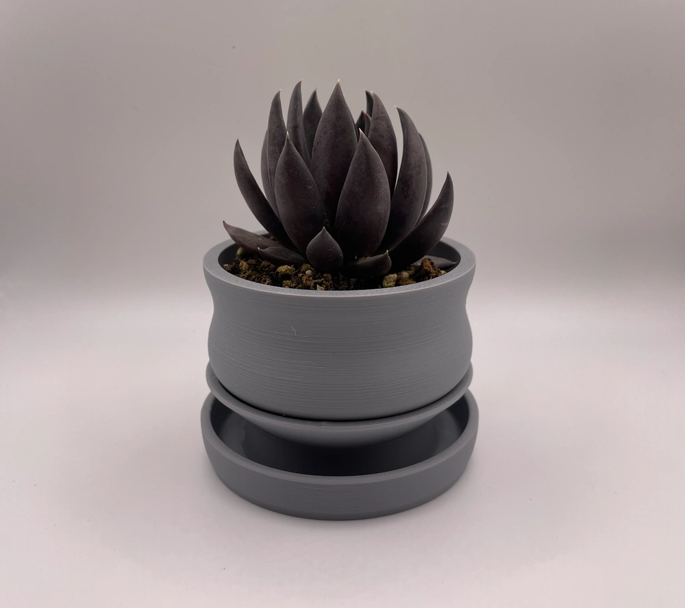 Blob Succulent Pots - Imagen 3
