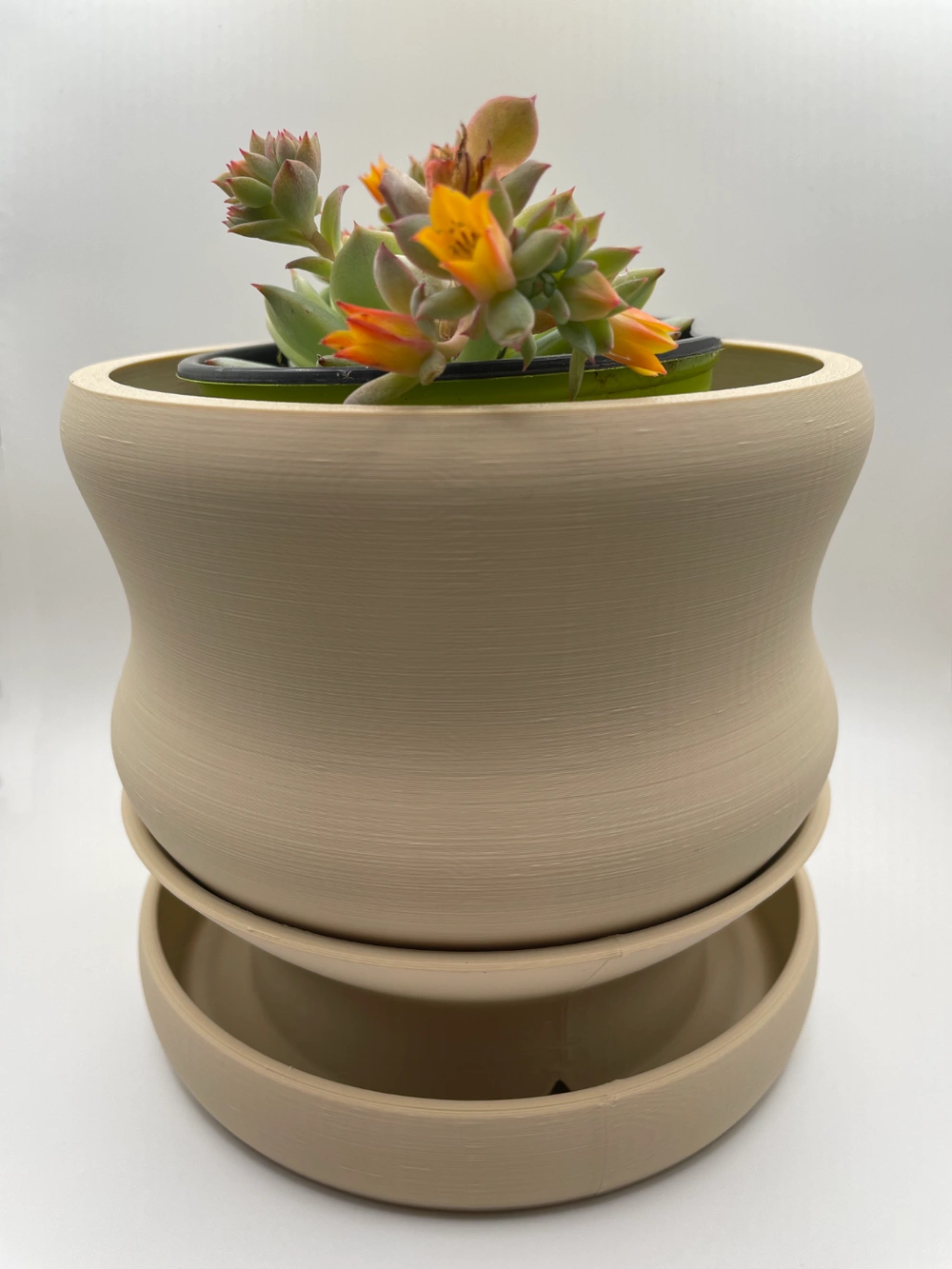 Blob Succulent Pots - Imagen 4