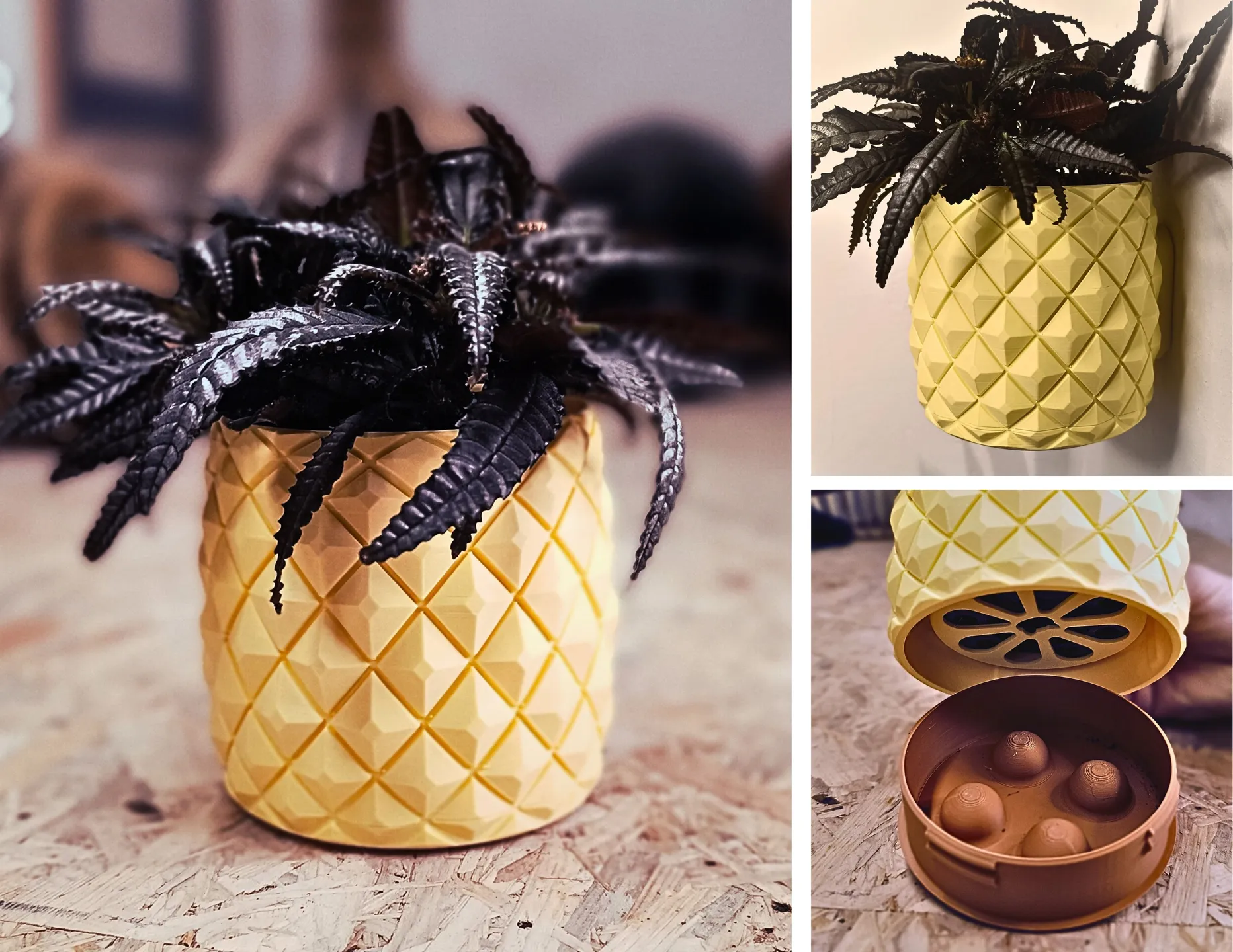 Maceta Decorativa de Piña